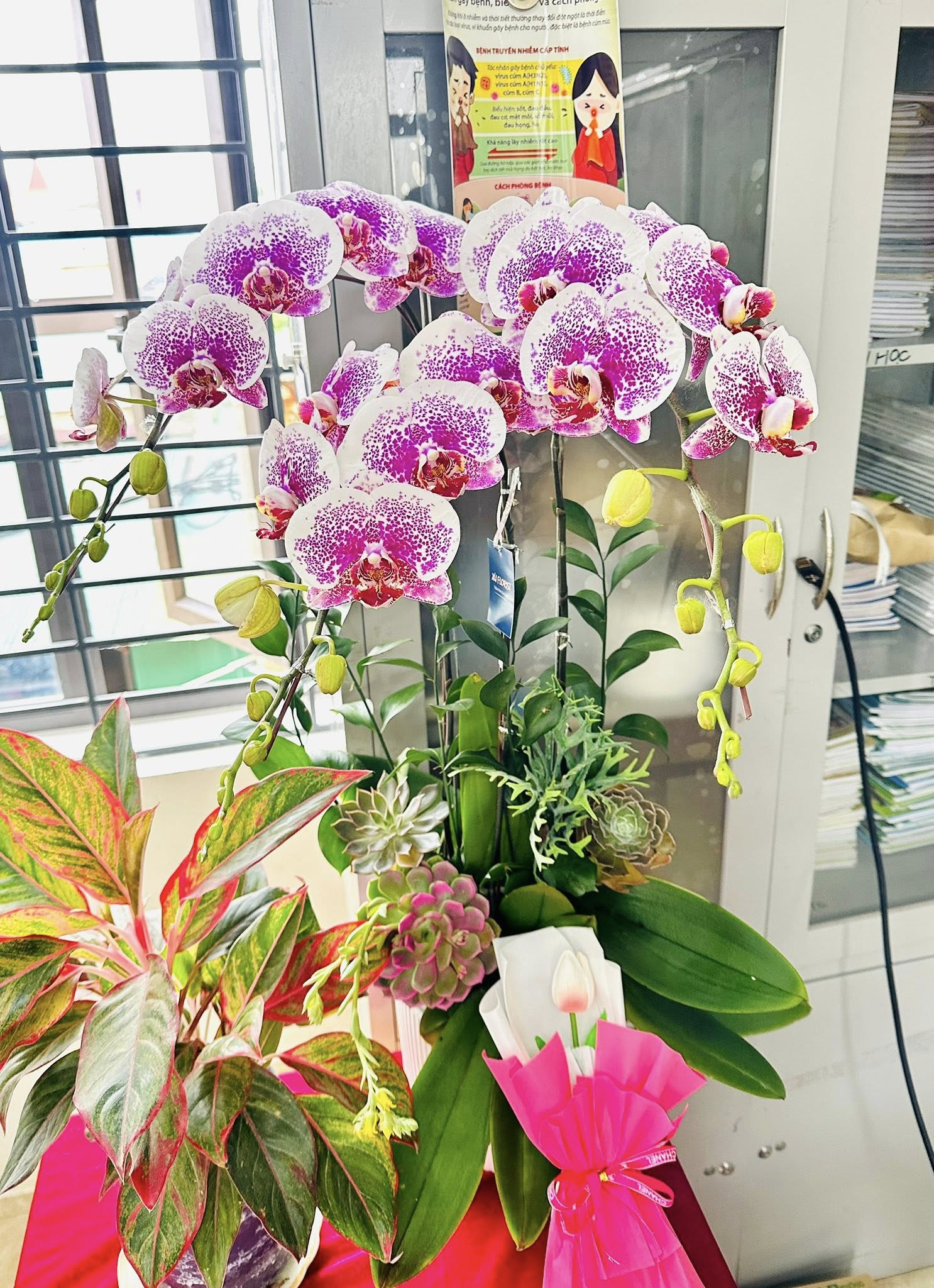 LỚP HỌC THÂN THIỆN – HỌC SINH TÍCH CỰC